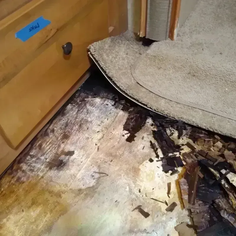 Wood Floor Water Damage in Stephenson County, IL